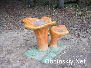 В Гурьяновском лесу, фигурки грибочков уже подо льдом
