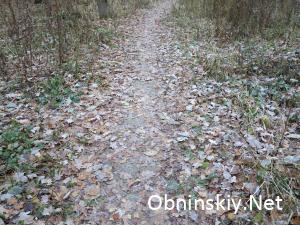 В Гурьяновском лесу. Это старая бетонная дорожка, её с трудом можно различить