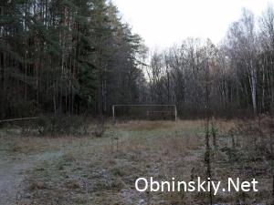 В Гурьяновском лесу старое заброшенное футбольное поле и ржавые ворота
