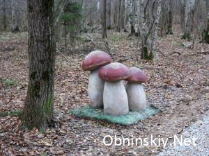 В Гурьяновском лесу еще фигурка грибов
