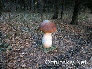 В Гурьяновском лесу фигурка гриба
