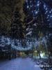 Городской парк. Обнинск