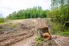 Вырубка леса в Обнинске под ЛЭП. Май 2024