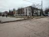 Очередное дерево спилили в городе