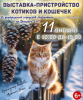 Выставка - пристройство котов, кошечек, котят!