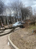 На Комарова, 5 дерево раздавило машину!